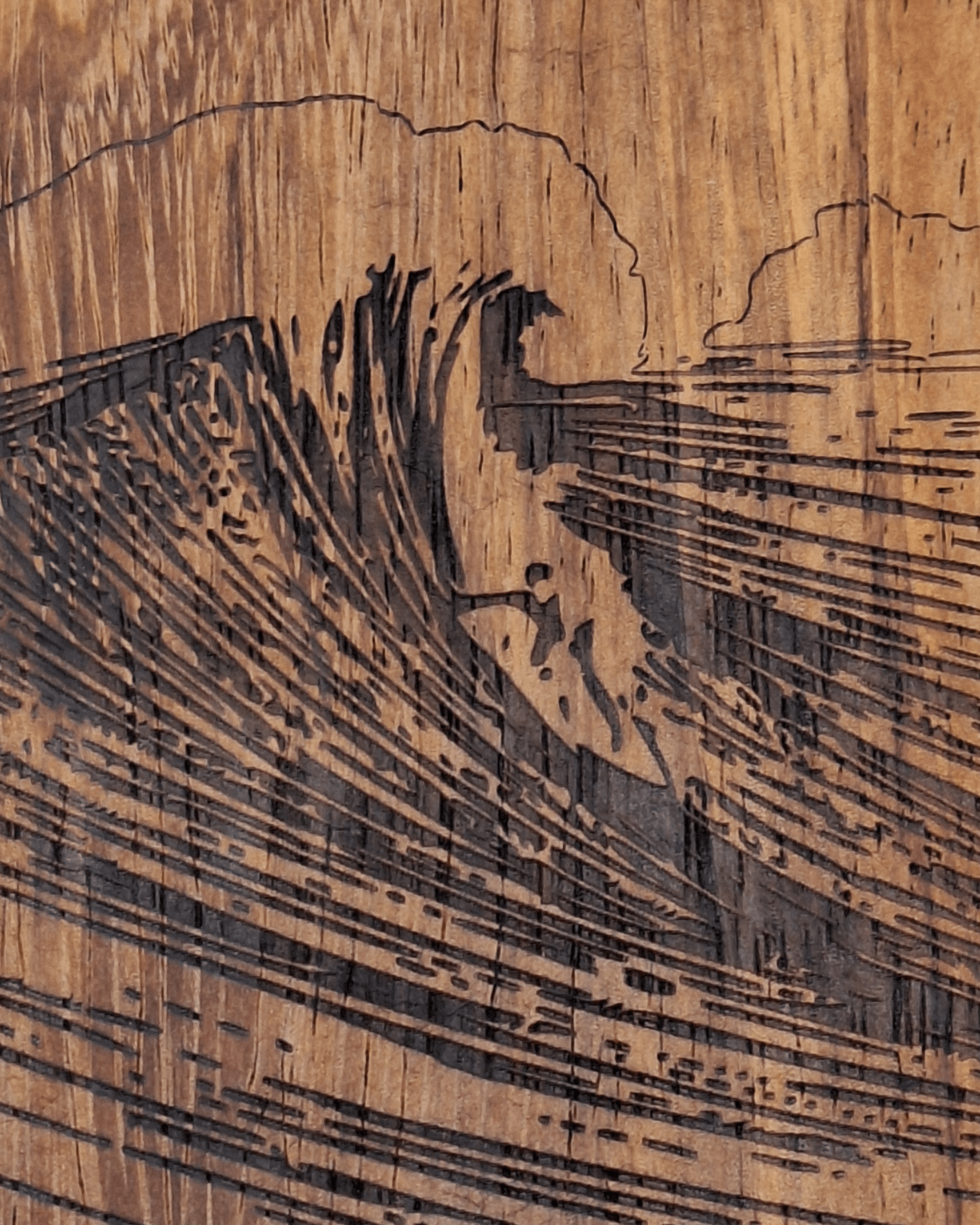 Detail of the laser engraving showing the surfer